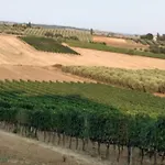 I Due Pini ماليانو إن توسكانا