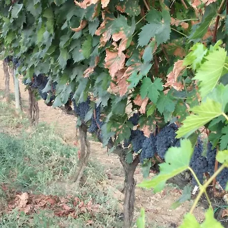 Séjour à la ferme I Due Pini *