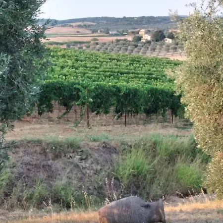 I Due Pini Çiftlik konaklama Magliano in Toscana