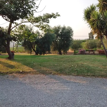 I Due Pini * Magliano in Toscana