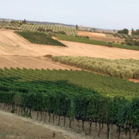 I Due Pini Magliano in Toscana