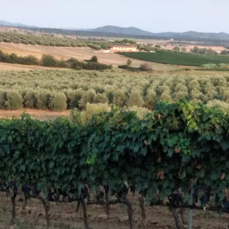 I Due Pini Magliano in Toscana