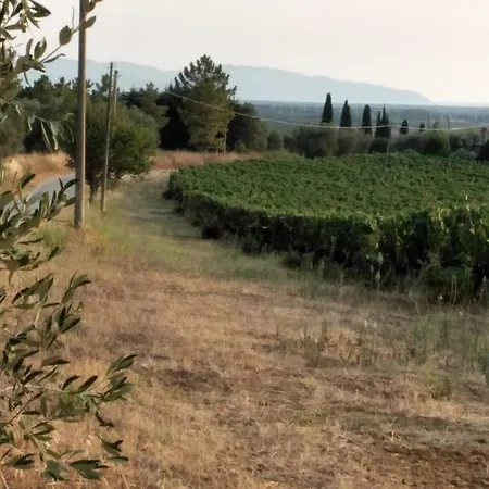 Farm stay I Due Pini Magliano in Toscana