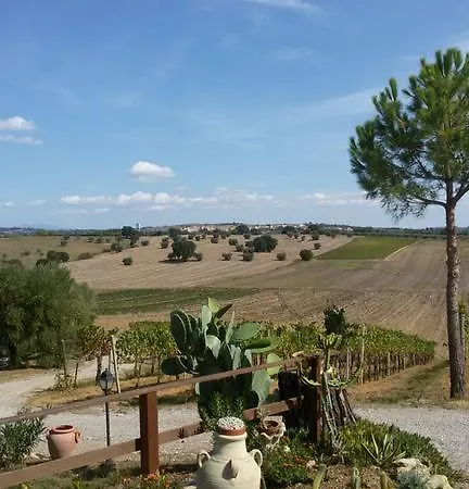 I Due Pini Farm stay *