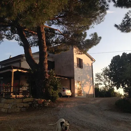 Farm stay I Due Pini Magliano in Toscana